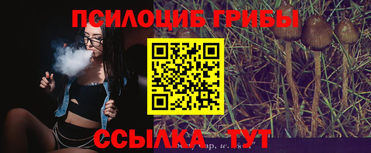 Галлюциногенные грибы мухоморы  Вход с VPN  Мыски 