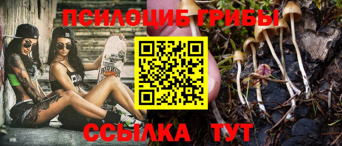 Псилоцибиновые грибы Psilocybe Мыски